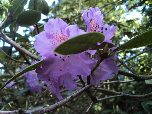 [DSC09783%255B3%255D.jpg]