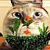 funny-animals-22.jpg