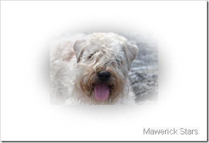 DSC_0174_redigerad-1