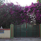 DSC_8233.jpg
