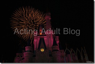 August '12 Disney (96)_wm