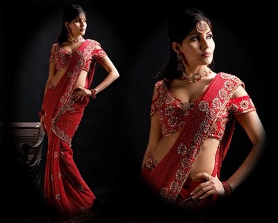 [2011-Indian-Saree-designs-for-brides%255B3%255D.jpg]