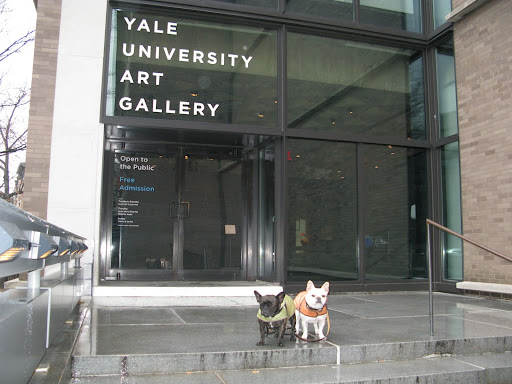 Here we are at the entrance to the Yale University Art Gallery. The weather was cold and wet.