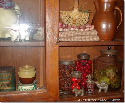 A Primitive Place ~Tammy