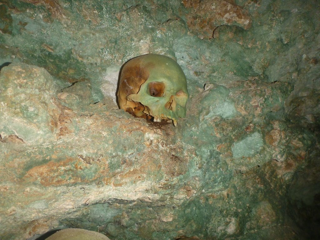 [P10103443.jpg]