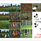 centralpark.jpg