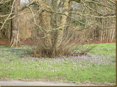 voorjaar 001