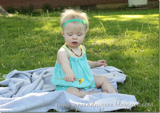 IMG_5027 IMG_5027