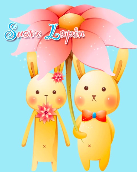 IBookstore suave lapin