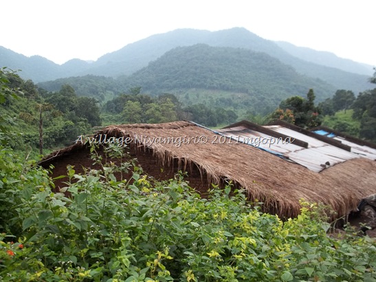 tribe village village niyamgiri