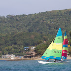 IMG_5184.jpg