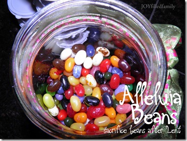alleluia beans