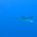 IMG_3046.JPG
