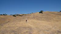 DSC02976.jpg