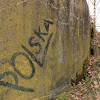 PzW.646 dsc04639.jpg