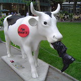 Europe Trip - Cows - cow20.JPG