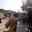 2011.10.18 Marathon de Metz (3)