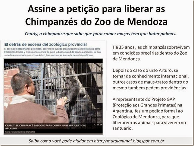 [macacos_mendoza_thumb%255B1%255D%255B2%255D.jpg]