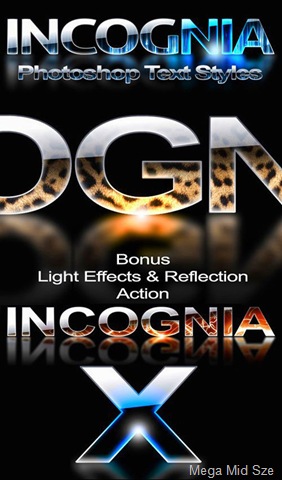 [Incognia%2520Reflection800.jpg]