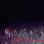 MDGC0256.JPG