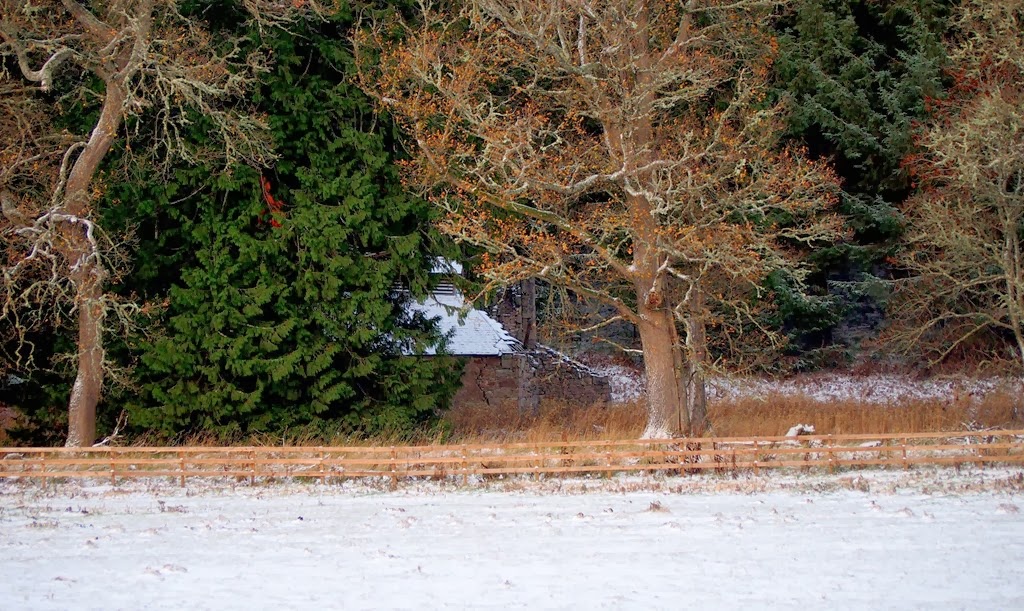 [5%2520Dec%25204%255B3%255D.jpg]