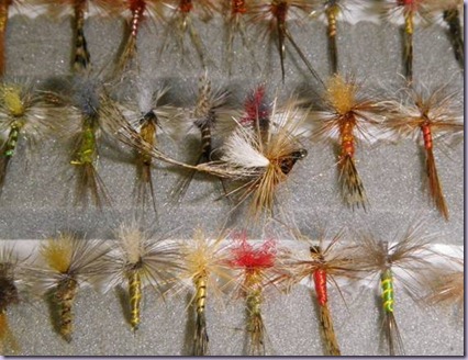 clip_image016 clip_image016