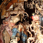 1461-5.JPG