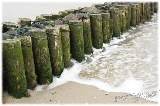 meer7