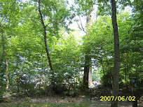 sa500169.jpg