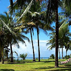 between-house-and-beach-1.jpg