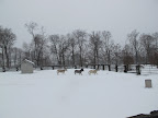 Yes G.K!  We love trotting around in the snow.  First, we go this way.....
