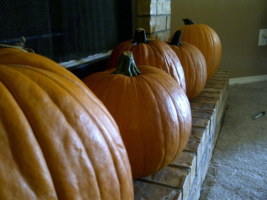 [IMG-20111012-01355%255B3%255D.jpg]