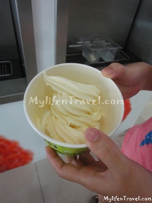 Tutti Frutti Yogurt 24 Tutti Frutti Yogurt 24