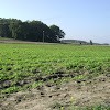 dsc05182.jpg
