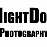 night dog logo1.jpg