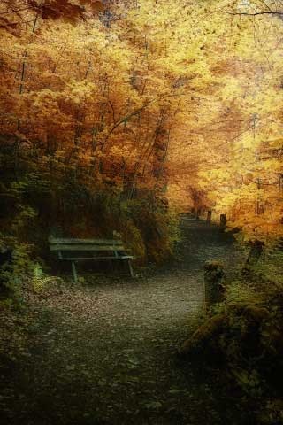 50 Wallpapers de naturaleza para iPhone 4s 50 Wallpapers de naturaleza para iPhone 4s