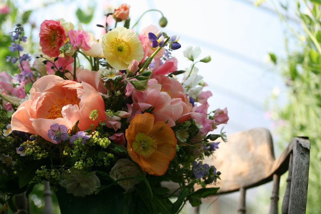 [IMG_1948-floret-flowers4.jpg]