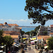 DSC00434.jpg