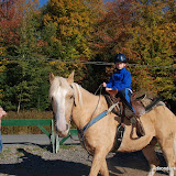 Fall2011_1 Fall2011_1