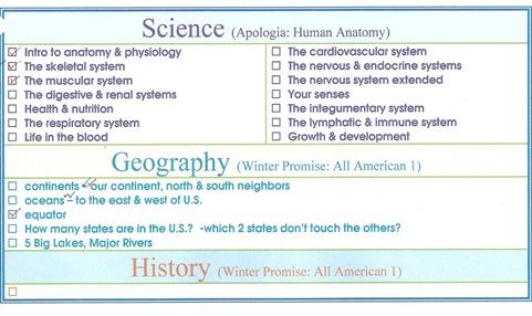 goals10000