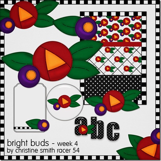 CSmith_BrightBuds