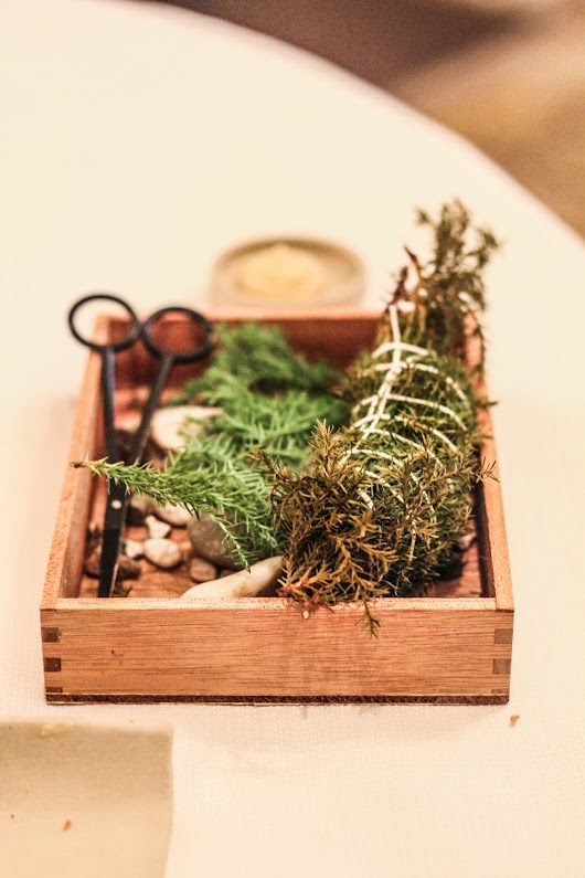 Havkat i enebærbusk på AOC - Mikkel Bækgaards Madblog