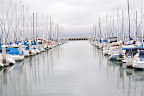 DSC_0243.JPG