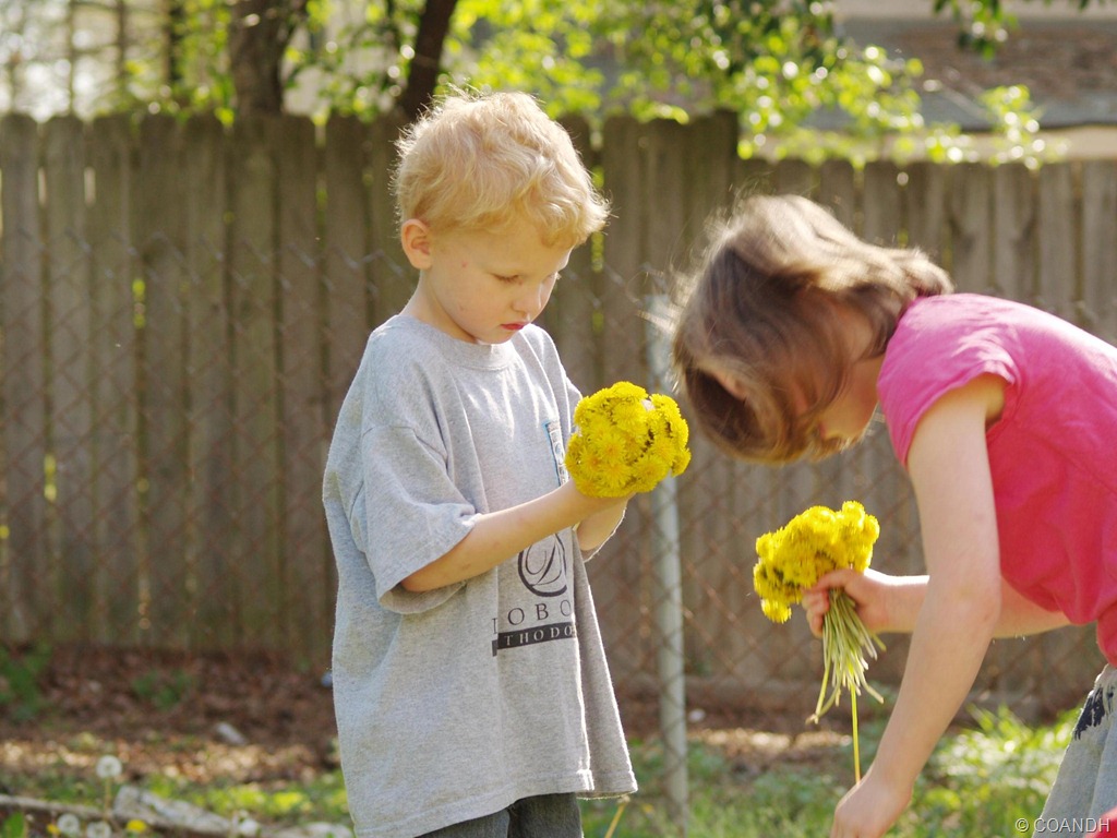 [P1018471_crop%255B7%255D.jpg]