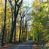 DSCF9721.jpg