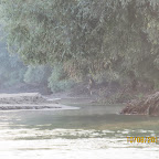 IMG_6464.JPG