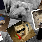 Goodbye for now My Sweet Albie