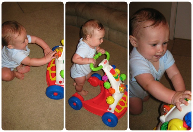 [walker-collage3.jpg]