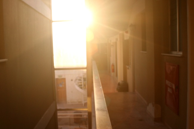 IMG_7108 IMG_7108