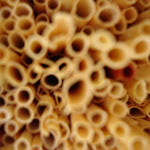 Insektenhotel Material 2.JPG